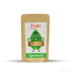 Žvýkačky spearmint bez aspart. 9g HUGO
