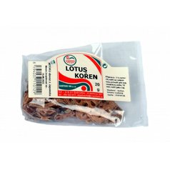 Lotus kořen celý 20g SUNFOOD VM