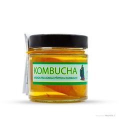 Kombucha kultura sklo 150ml STEVIKOM